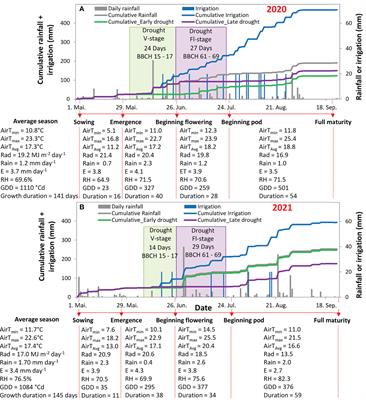 Soybean resilience to drought is supported by partial recovery of photosynthetic traits